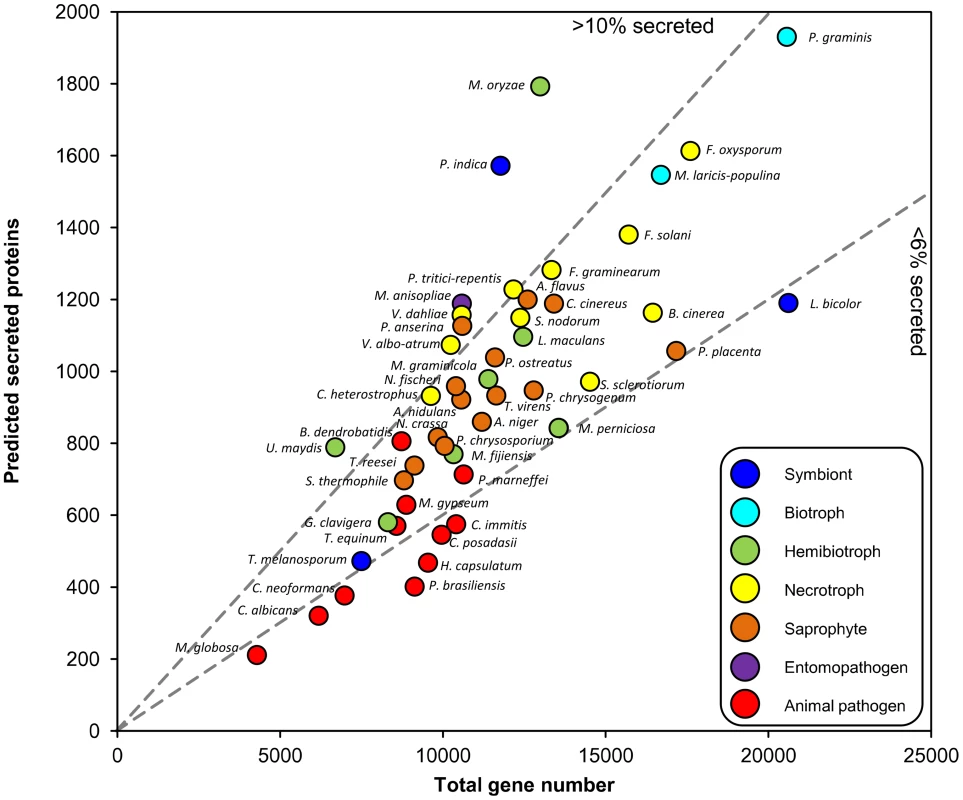 Relationship between predicted secreted protein number and total gene content of fungi.