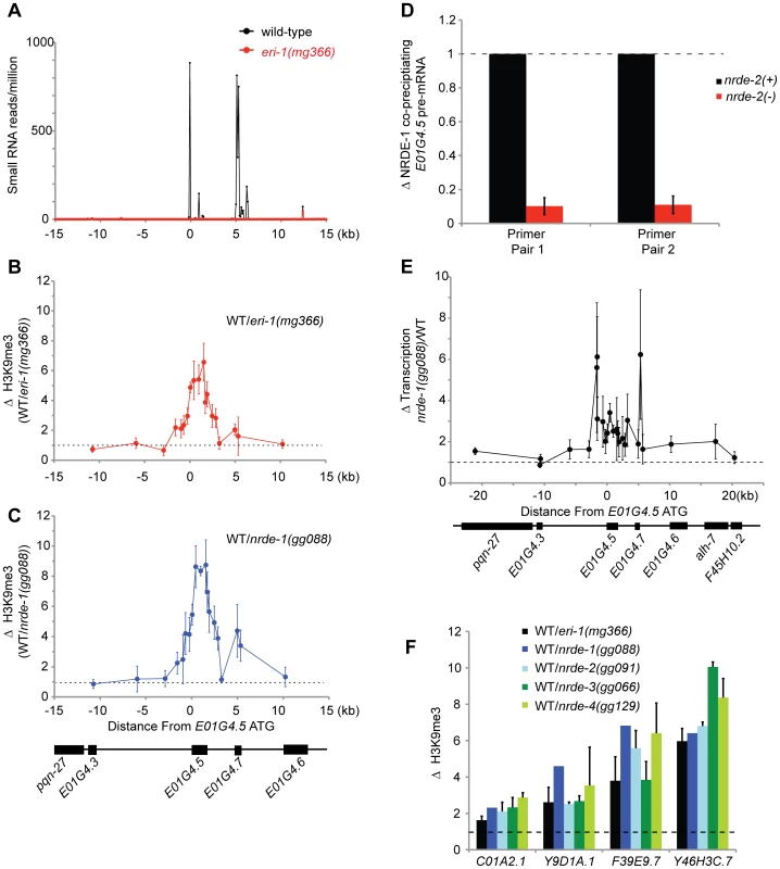 Endo-siRNAs promote H3K9 methylation.
