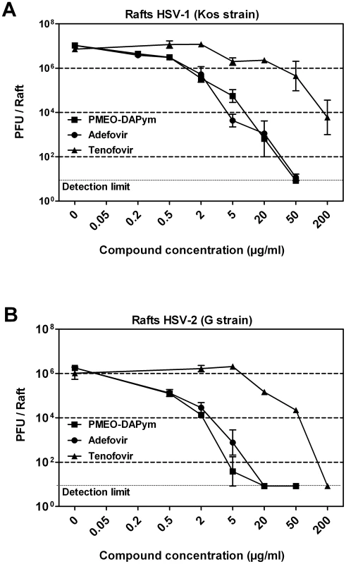 Inhibitory activities of tenofovir, adefovir, and PMEO-DAPym against laboratory HSV-1 and HSV-2 strains in organotypic epithelial raft cultures.
