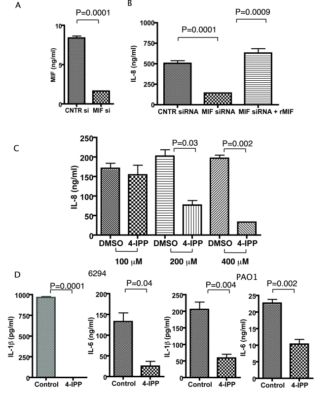 Corneal epithelial cells produce less IL-8, IL-6, IL-1β after infection with <i>P. aeruginosa</i> strain 6294 when MIF levels are reduced or MIF tautomerase activity inhibited.
