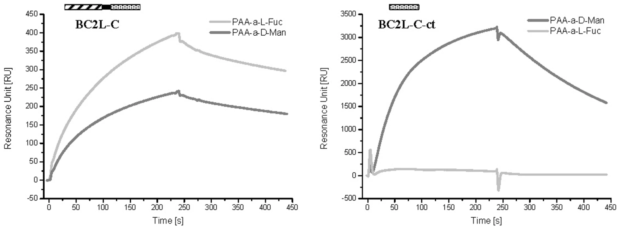 SPR sensorgrams of BC2L-C and C-ter domain on different monosaccharide-activated surfaces.