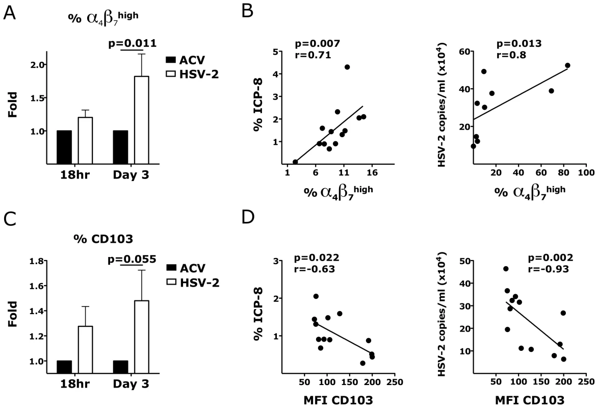 HSV-2 ex vivo infection impacts the expression of integrins in the vaginal mucosa.
