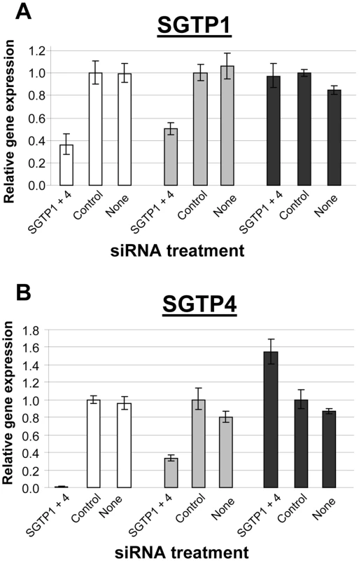 Expression of SGTP1 and SGTP4 (mean ± SE) in schistosomula at different times after treatment with the indicated siRNA.