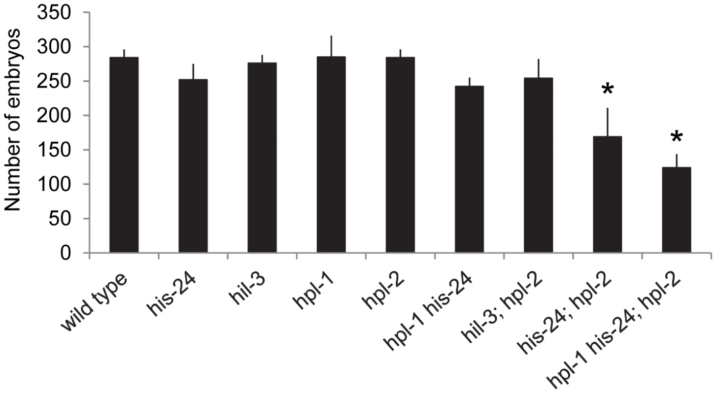 HIS-24 act synergistically with the <i>hpl</i>-genes to control brood size at 21°C.