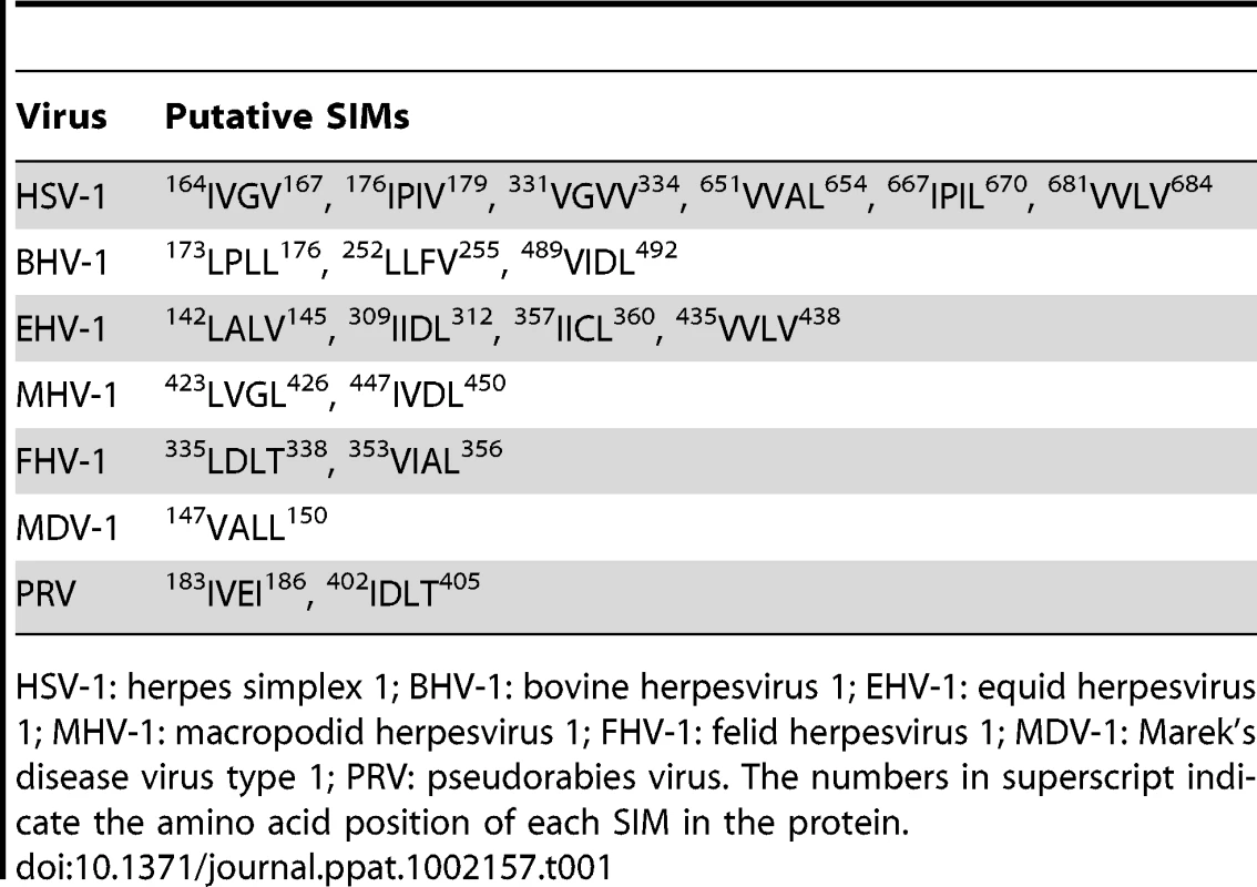 Prediction of putative SIMs in ORF61 orthologs of other alphaherpesviruses.