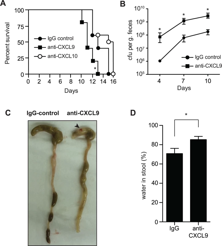 Loss of CXCL9 results in increased <i>C</i>. <i>rodentium</i> burden and worsened host outcome.