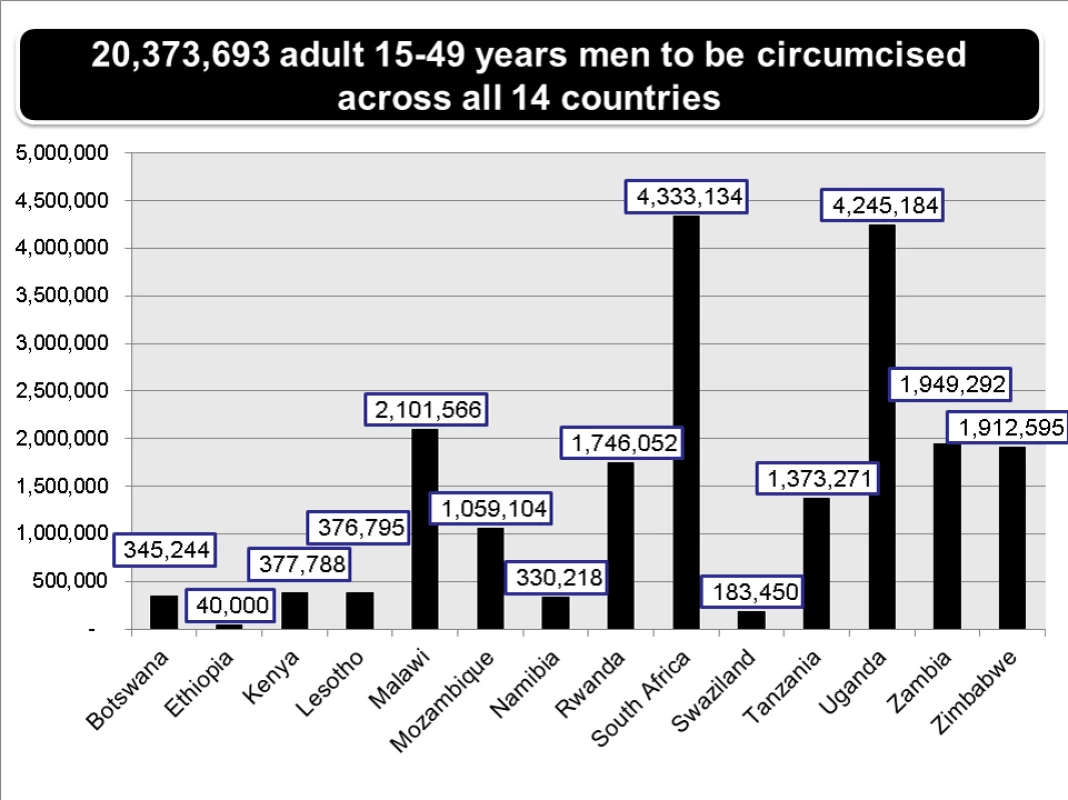 Number of circumcisions among men aged 15 to 49 years needed to reach 80% coverage in each of 14 priority countries/regions within five years.