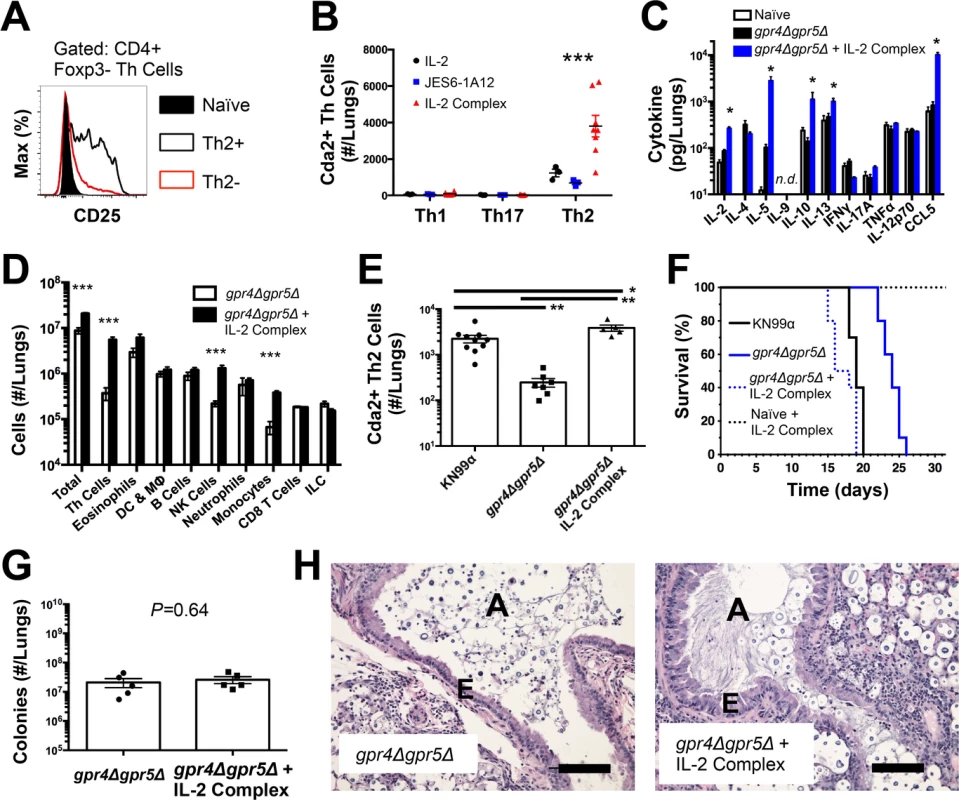 IL-2 Complexes Augment Type-2 Helper T Cells and Enhance Fungal Disease.