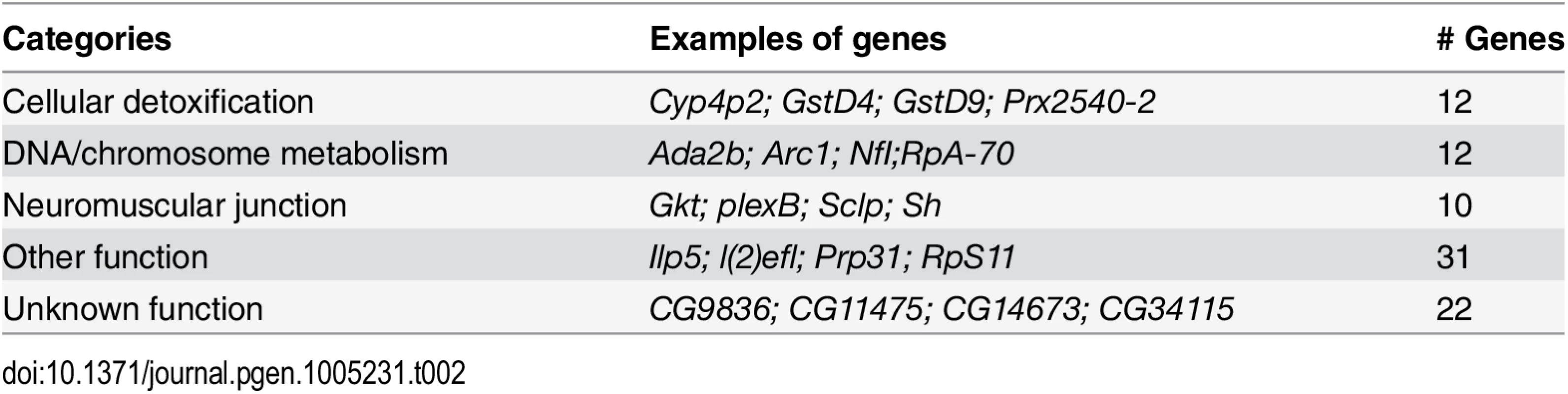 Categories of mis-regulated genes differentially expressed in wild type Lamin C vs G489V.