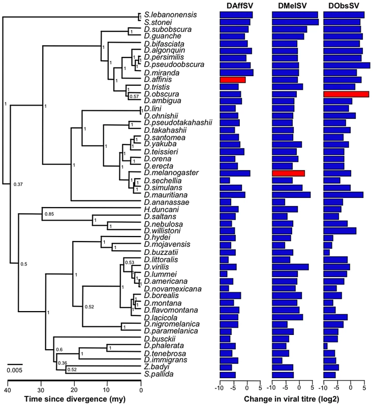 Phylogeny of host species and the respective mean change in viral titre (log2 scale) for each species-virus combination.