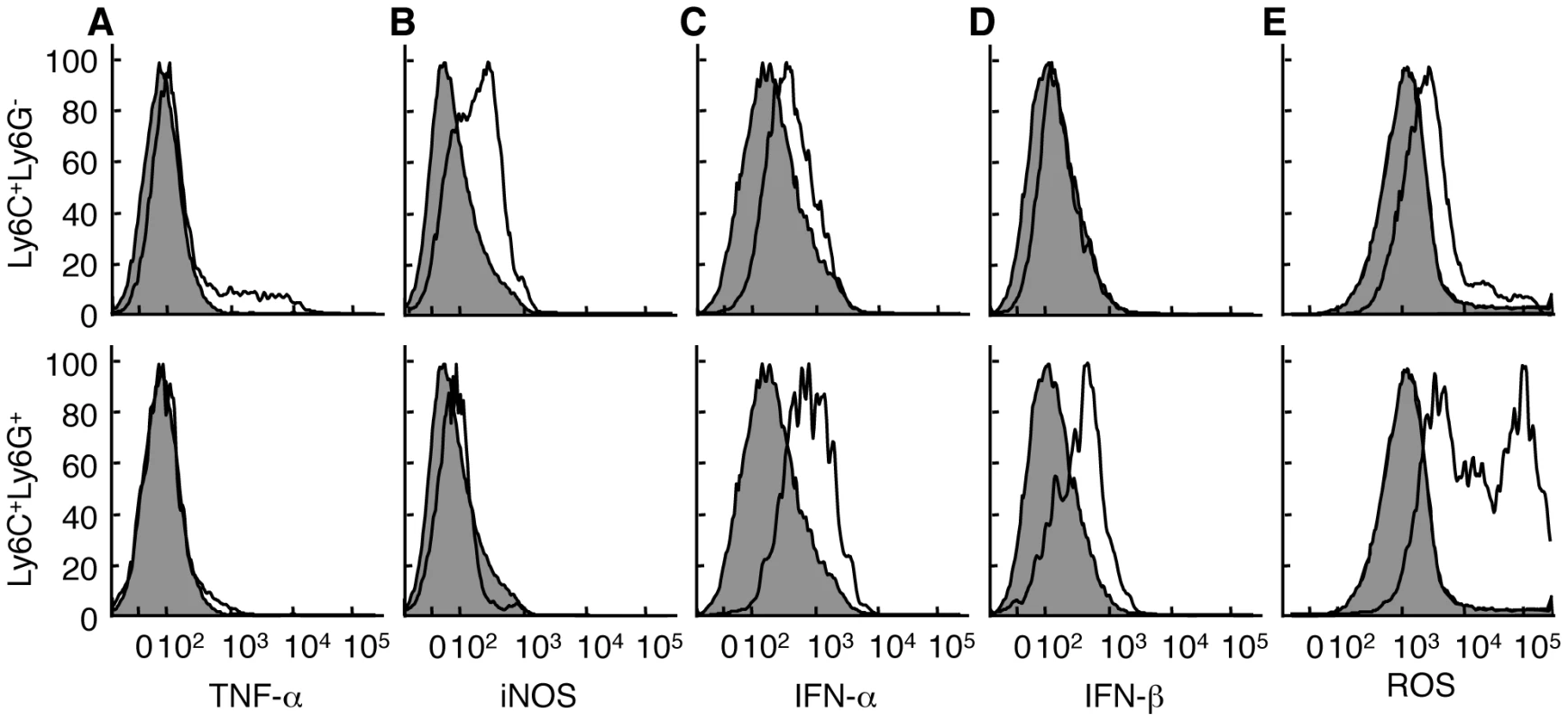 Ly6C<sup><b>+</b></sup>Ly6G<sup>-</sup> and Ly6C<sup><b>+</b></sup>Ly6G<sup><b>+</b></sup> cells have distinct functional profiles.