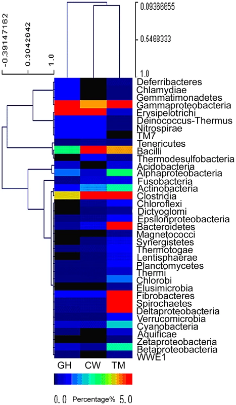Abundance of bacterial phyla based on the predicted gene models in the gut microbiota of grasshopper (GH), cutworm (CW), and termite (TM), respectively.
