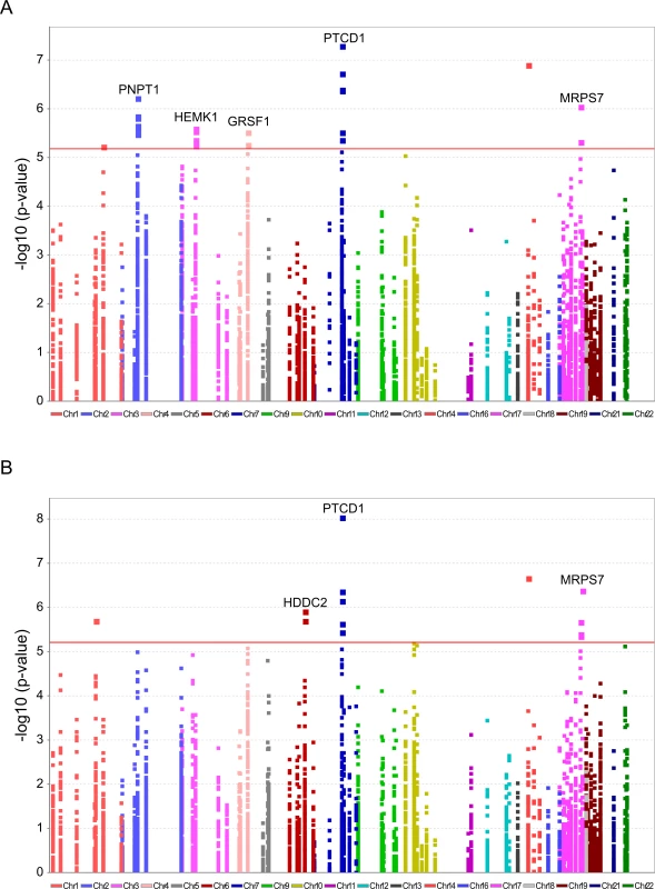 Significant association of nDNA SNPs with African-Caucasian differences in mtDNA gene expression.