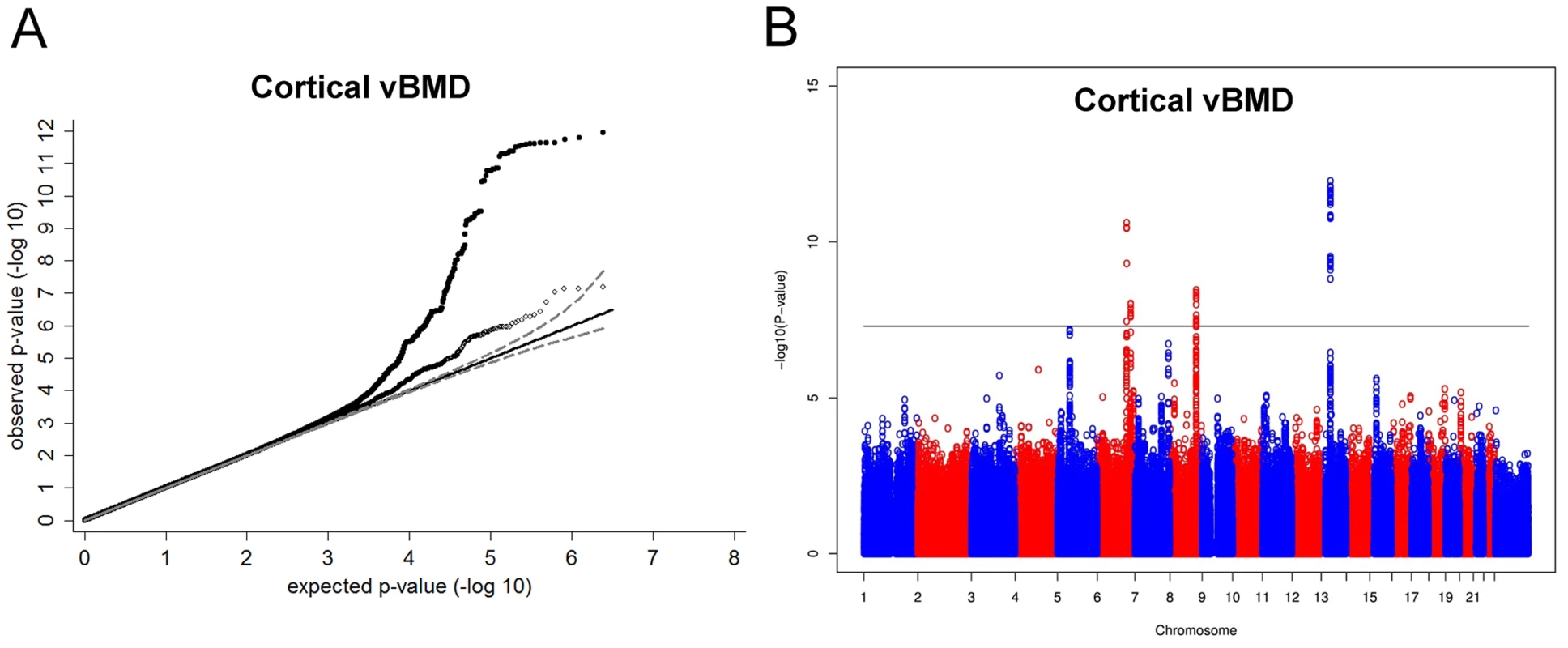 Genome-wide meta-analysis of cortical vBMD.