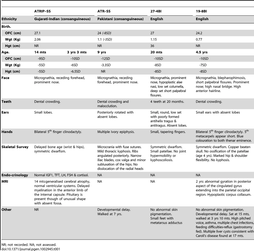 Clinical features of ATR/ATRIP–deficient patients.