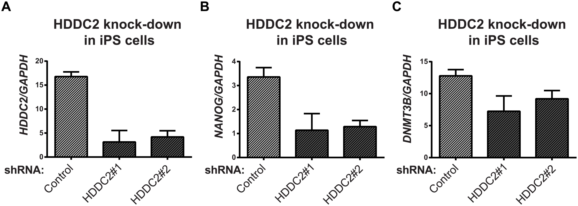 Effect of <i>HDDC2</i> shRNA-mediated knock-down.