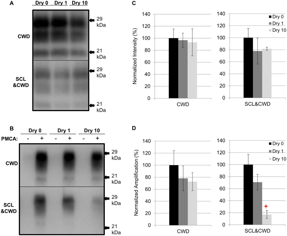 Influence of repeated cycles of drying and wetting on proteinase K resistance and amplification efficiency of elk CWD.