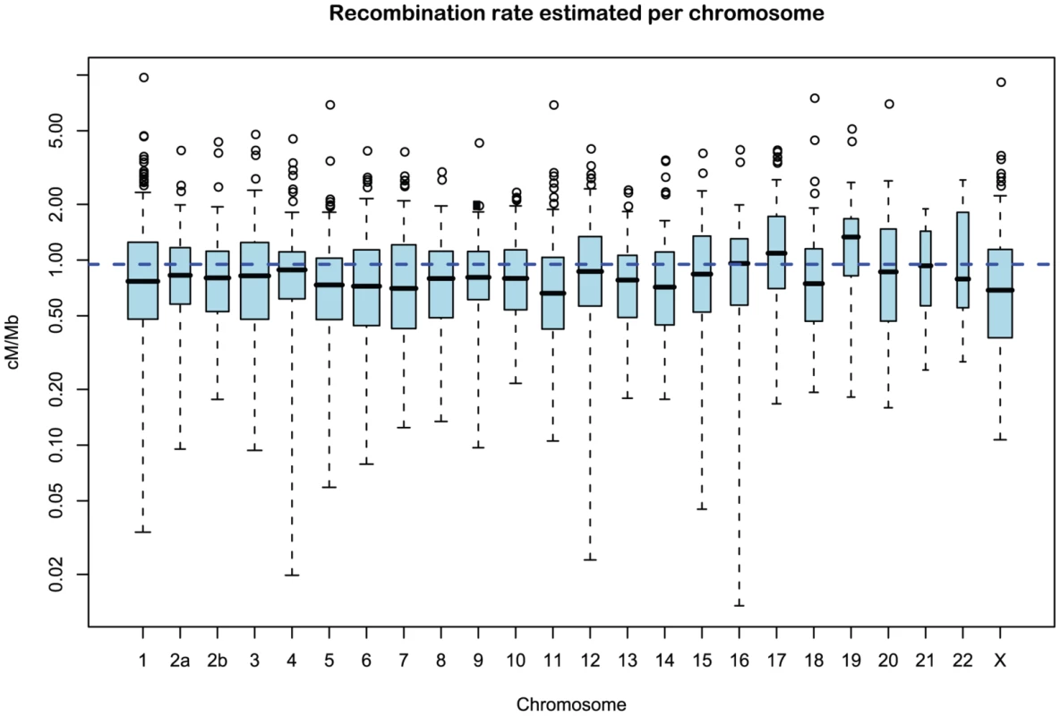 Distribution of recombination rate estimates for each chromosome.