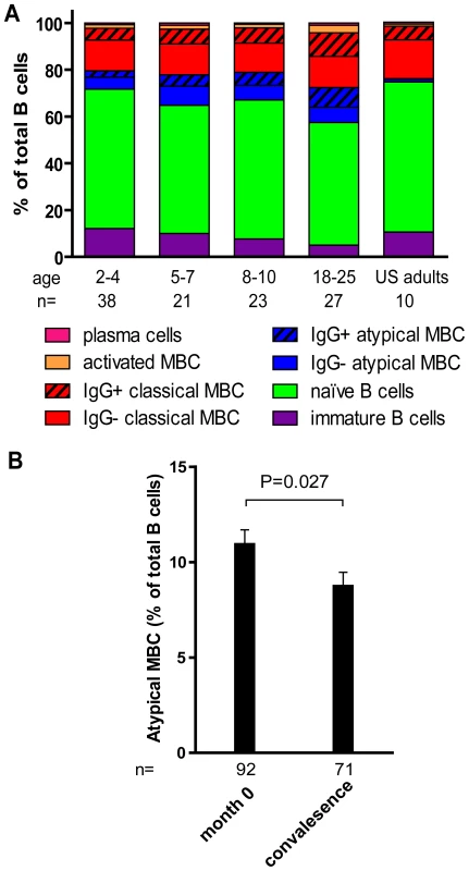 Profile of B-cell subsets before the malaria season in children and adults.