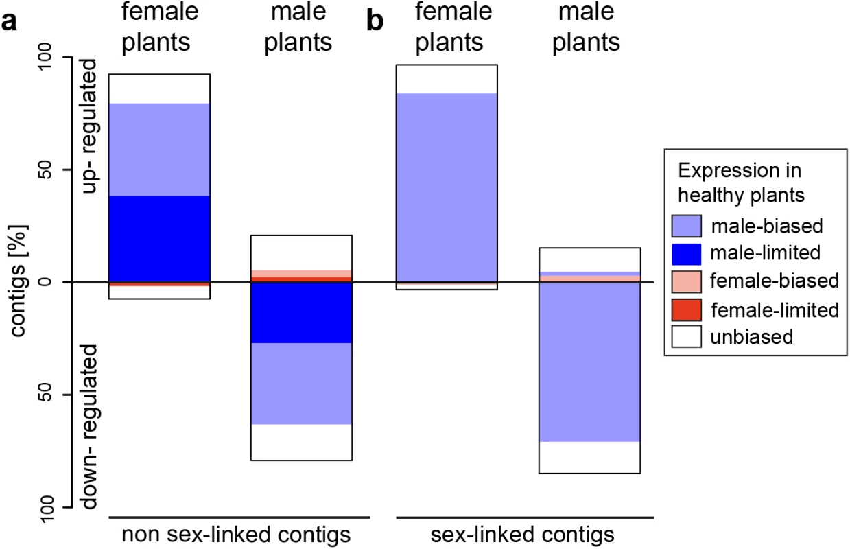 Gene expression changes following infection with <i>M</i>. <i>lychnidis-dioicae</i> in female and male plants of <i>S</i>. <i>latifolia</i> for non sex-linked and sex-linked contigs.