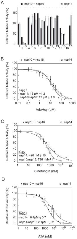 Inhibition of the nsp14 and nsp16/nsp10 MTase activities.