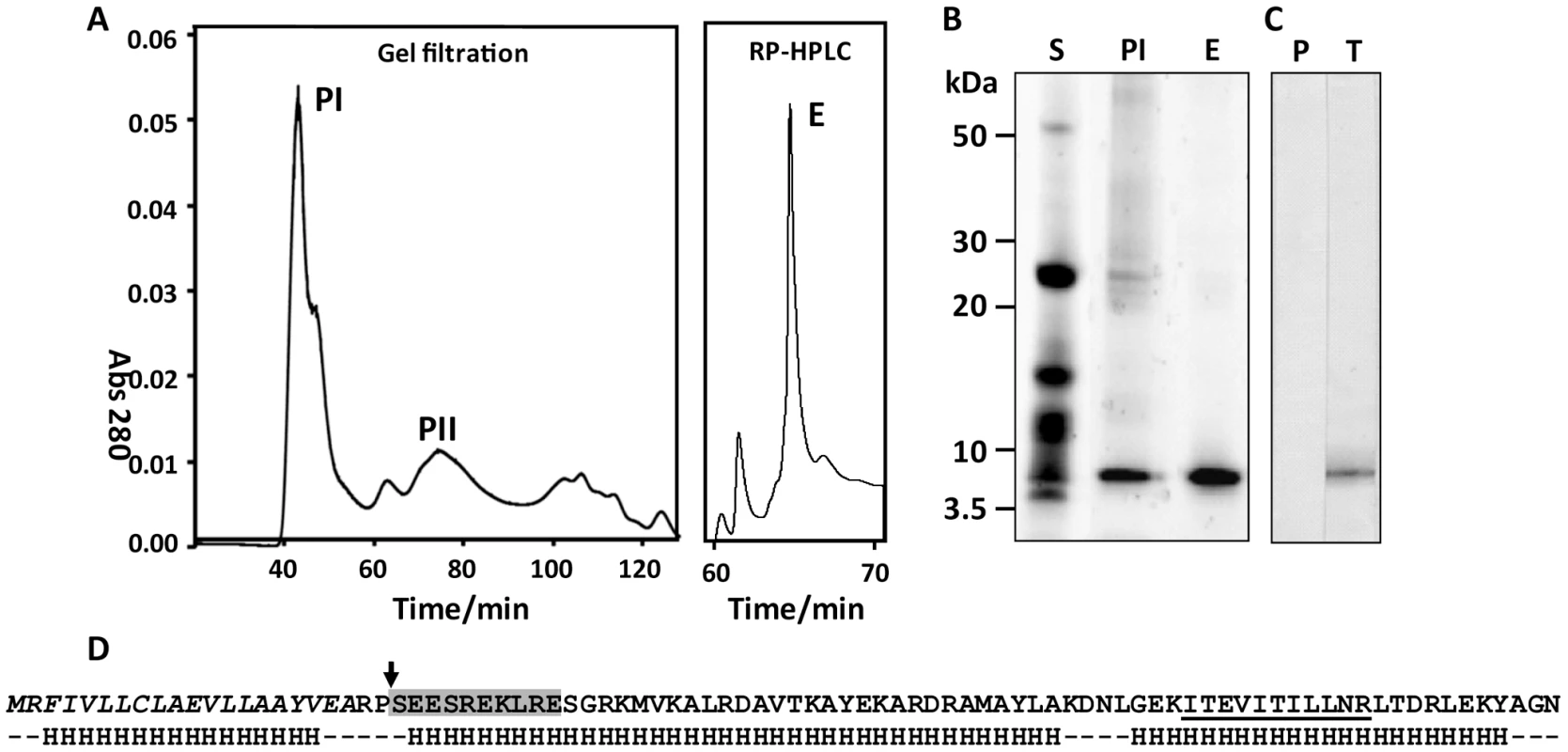 Identification and characterisation of native FhHDM-1.