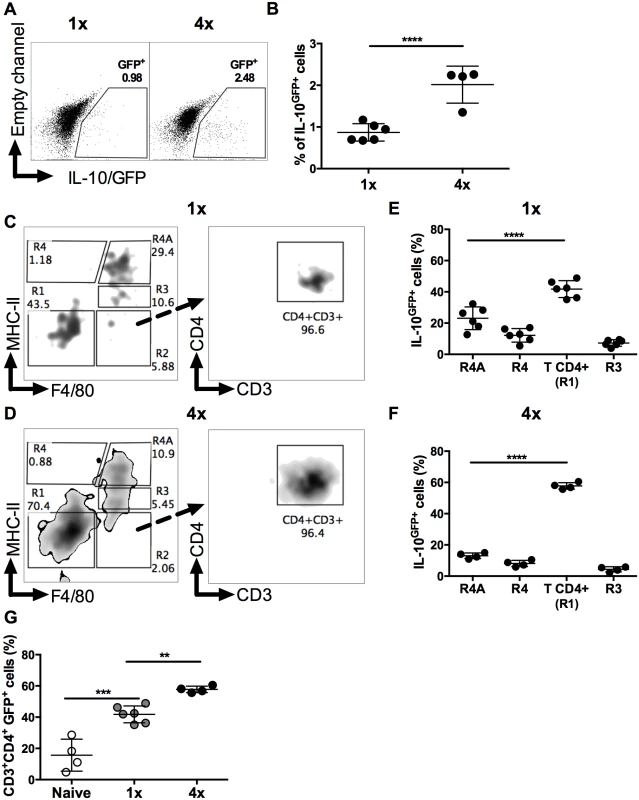 CD4<sup>+</sup> T cells are the predominant source of IL-10 in DEC.