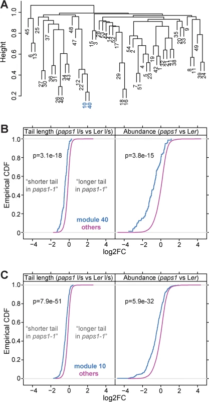Genes coexpressed with <i>PAPS1</i> are strongly affected in <i>paps1</i> mutants.