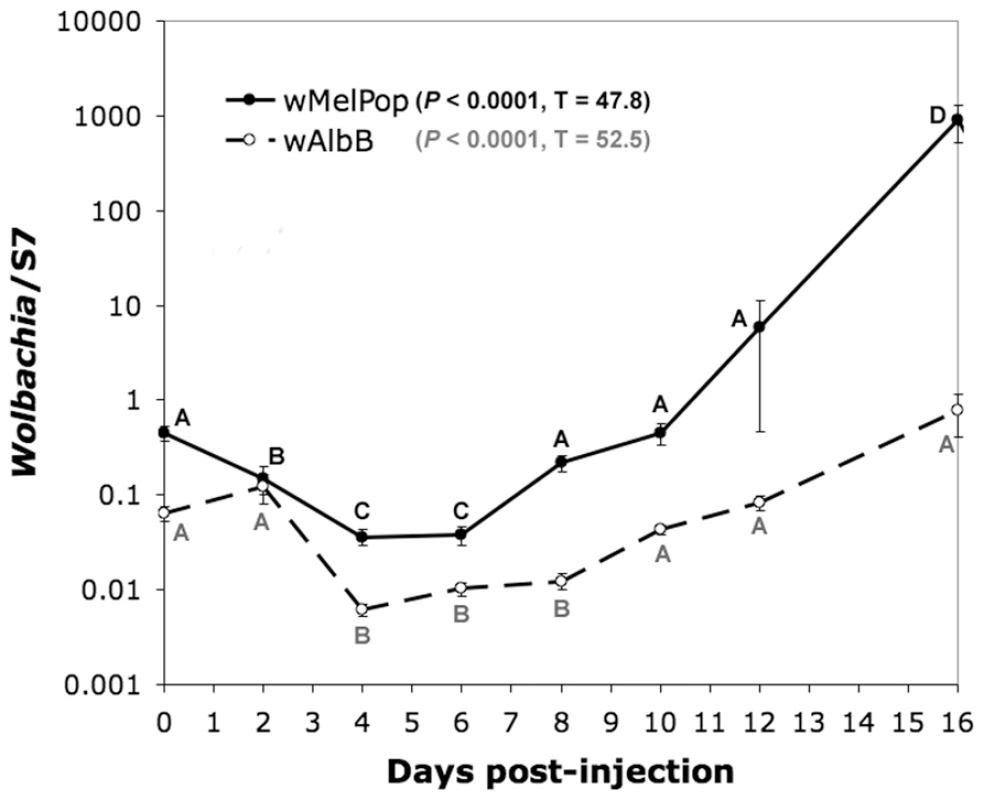 Changes in titer of wMelPop and wAlbB in <i>An. gambiae</i> after microinjection, assessed by quantitative PCR.