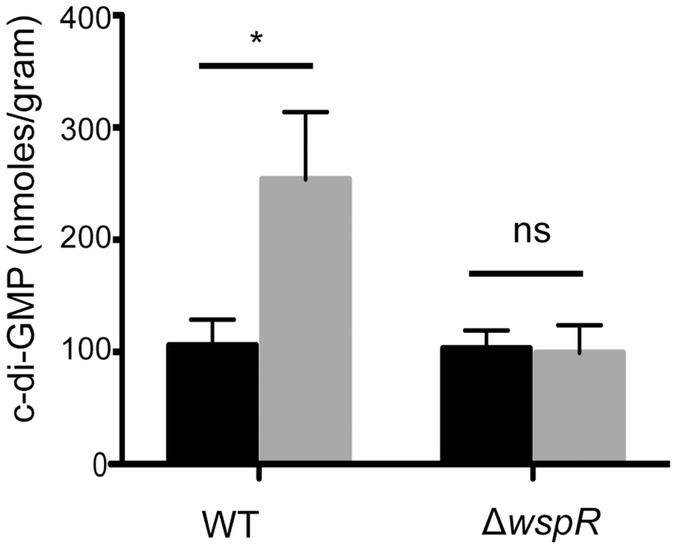 Ethanol increases c-di-GMP levels in <i>P. aeruginosa</i> strain PA14 WT but not in a Δ<i>wspR</i> mutant.