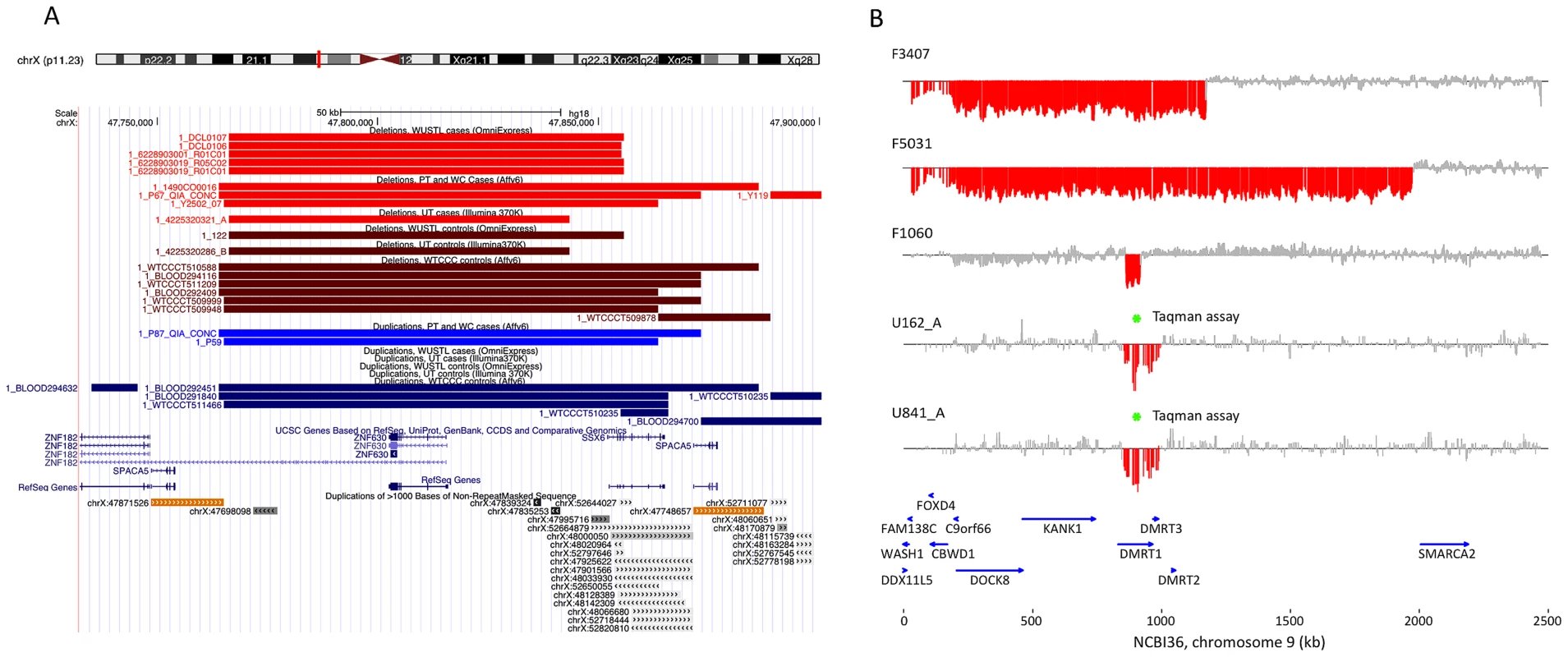 Discovery of recurrent deletions in azoospermia.
