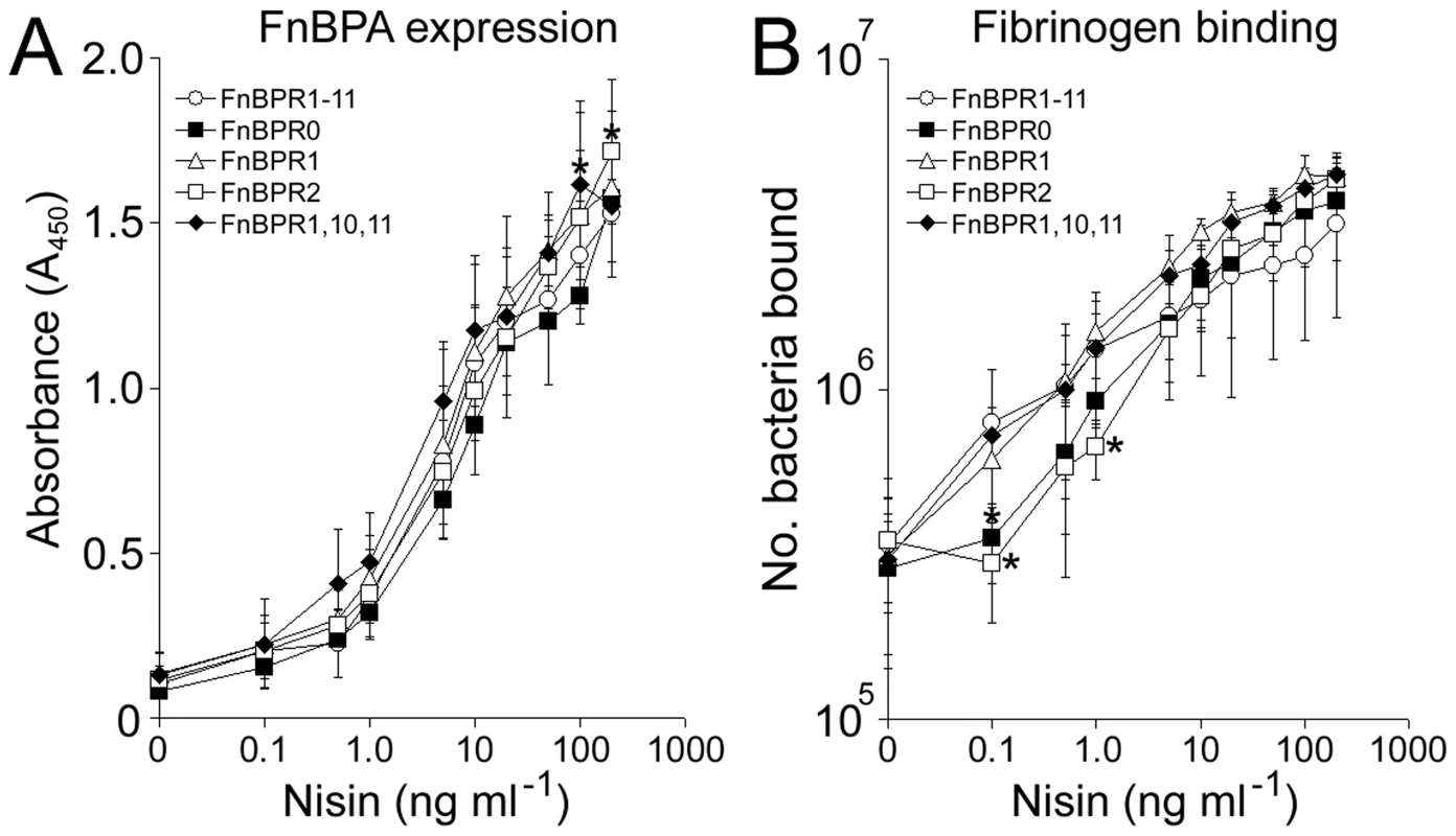 Nisin controlled expression of FnBPA in <i>L. lactis</i> is consistent between variants.
