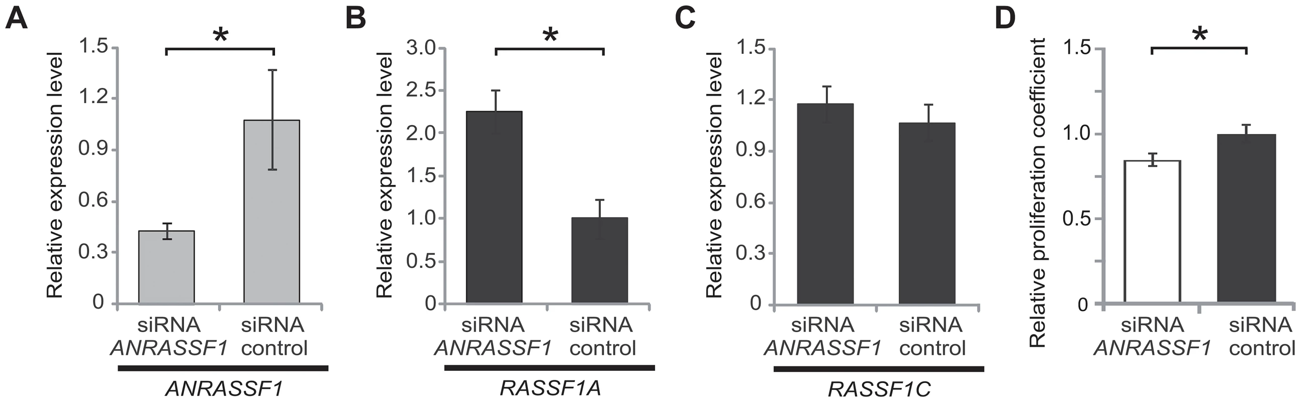 <i>ANRASSF1</i> knockdown increases the <i>RASSF1A</i> isoform expression and decreases cell proliferation.