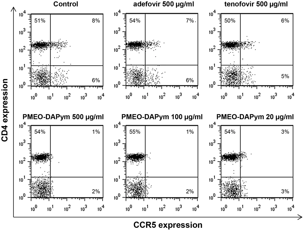 Expression of the HIV-1 coreceptor CCR5 on PBMCs after treatment with adefovir, tenofovir, or PMEO-DAPym.