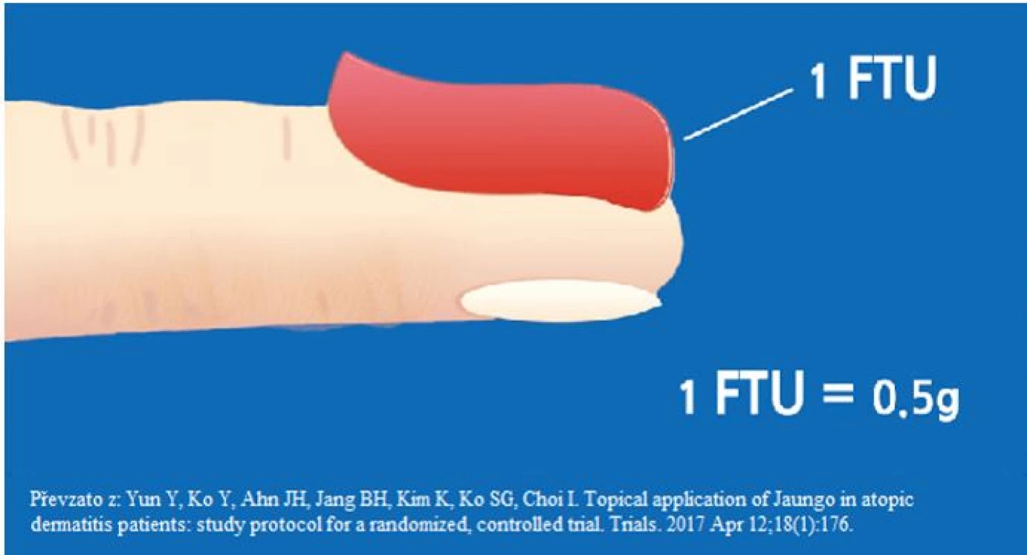 Jednotka prstového lůžka – zkr. FTU z angl. fingertip unit (8)