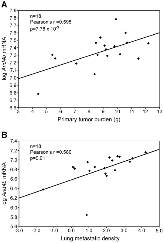 <i>Arid4b</i> expression is correlated with tumor growth and metastasis.