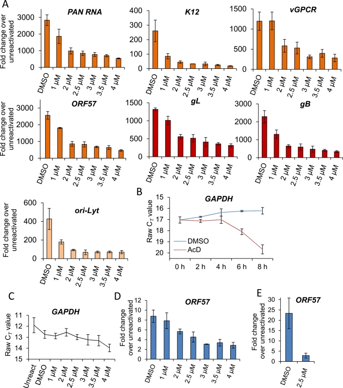VER-155008 caused a significant reduction in viral transcripts, viral DNA and progeny in TREx BCBL1-RTA cells.