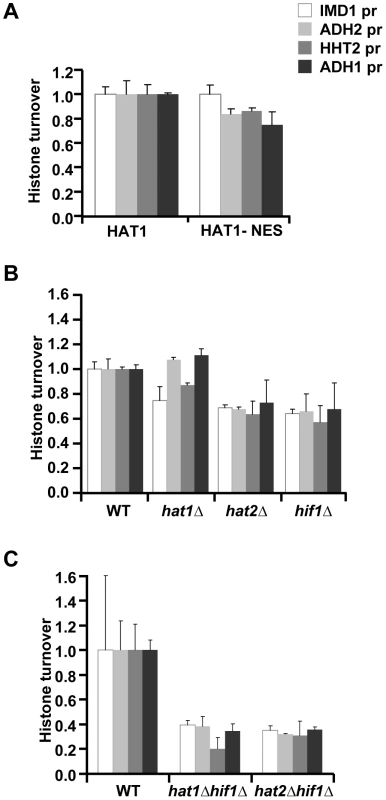 Role of the NuB4 complex in histone turnover.