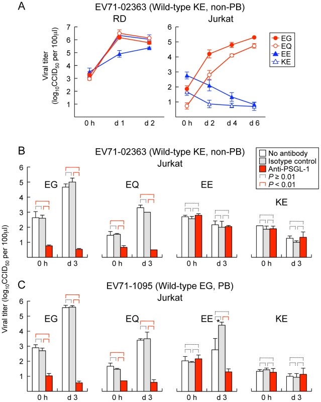 Replication of EV71 mutants in RD and Jurkat cells.