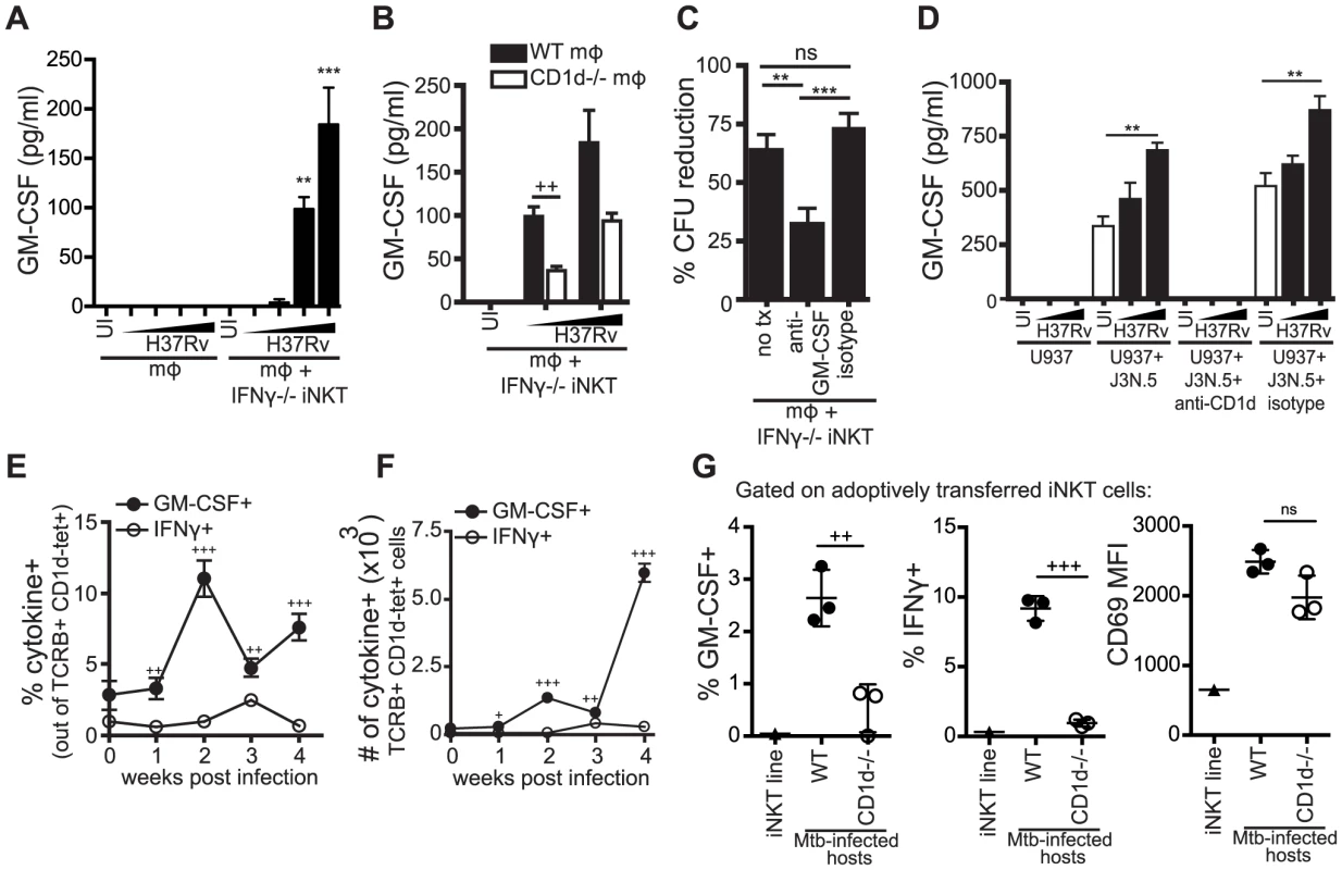 iNKT cells produce GM-CSF during Mtb infection in a CD1d-dependent manner and it is critical for controlling Mtb growth.