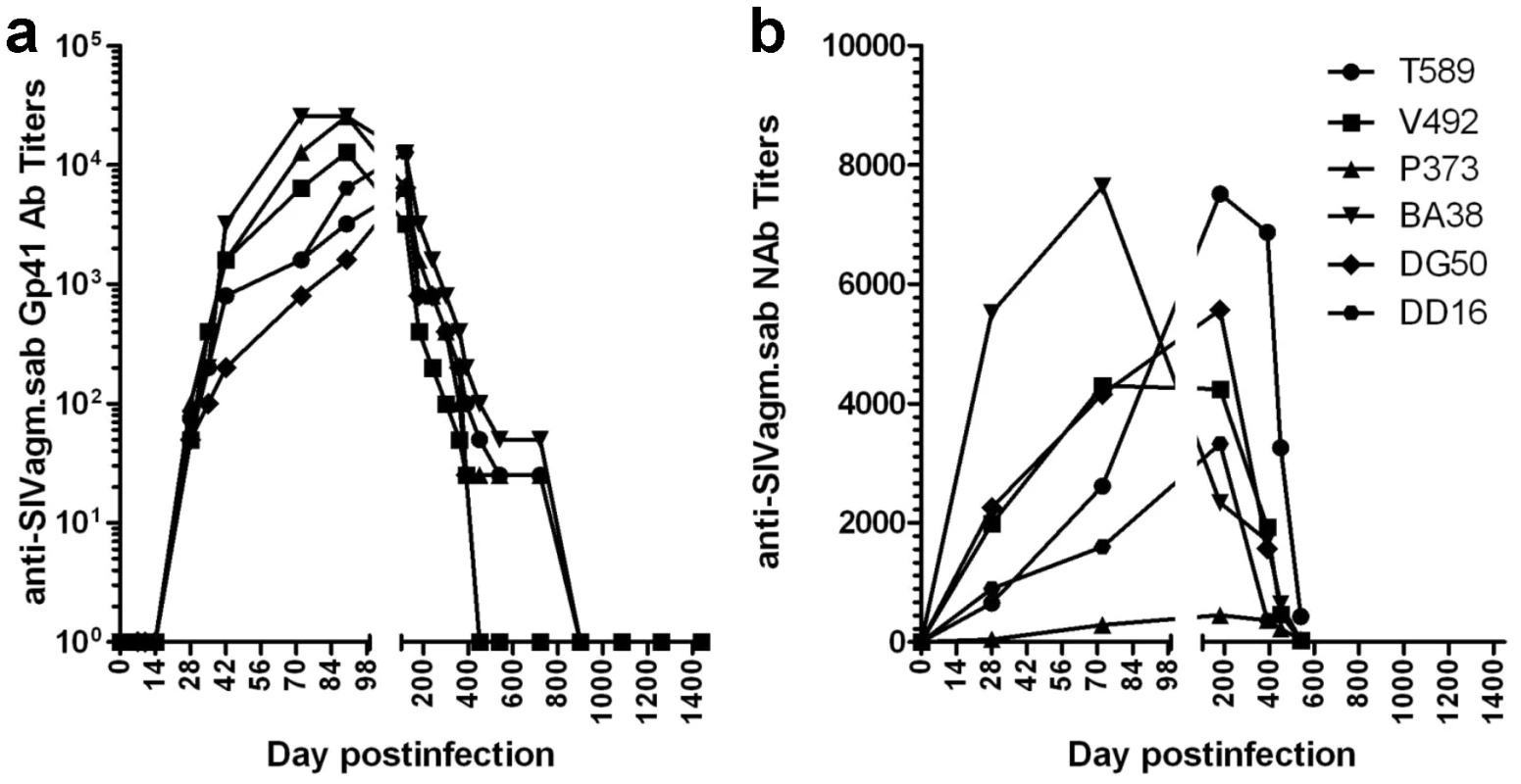 Control of SIVagm replication in RMs was confirmed by seroreversion of anti-SIVagm binding and neutralizing antibodies.