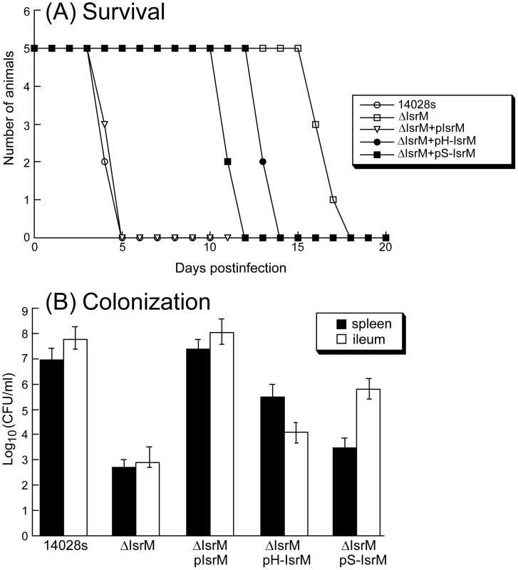 Virulence and colonization of <i>Salmonella</i> in mice.