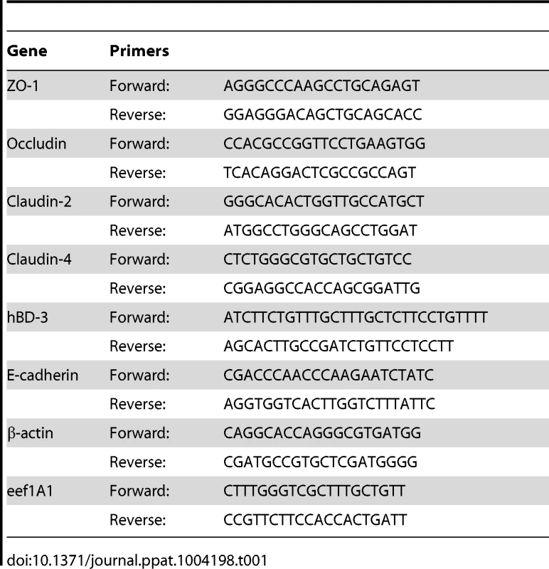Primers used for real time qPCR.