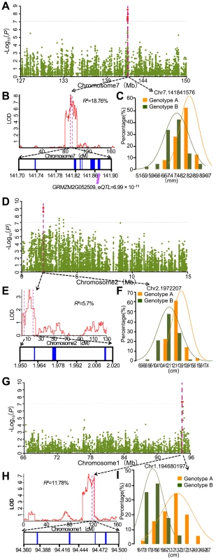 Co-localization of association peaks, QTL and well-annotated candidate genes.