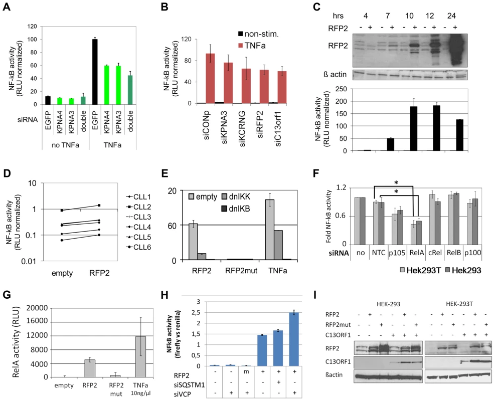 13q14.3 candidate genes are a functionally related gene cluster that modulates NF-kB signalling.