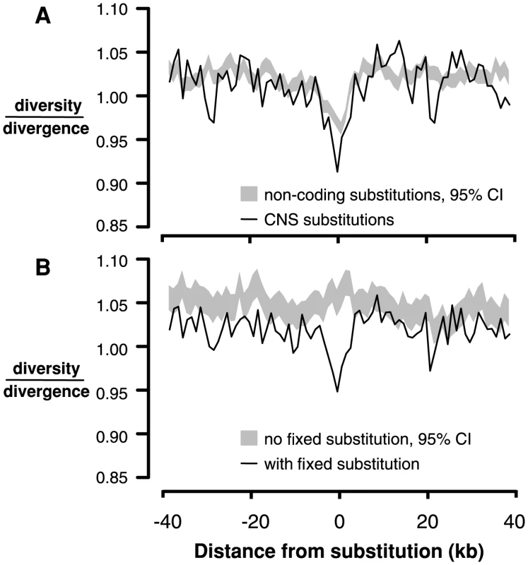 Linked neutral diversity/divergence surrounding conserved noncoding sequences (CNSs).