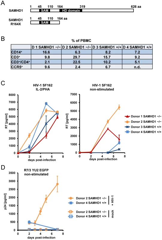 PBMC from AIcardi-Goutières syndrome patients homozygous for SAMHD1 mutation are highly susceptible for spreading HIV-1 replication.