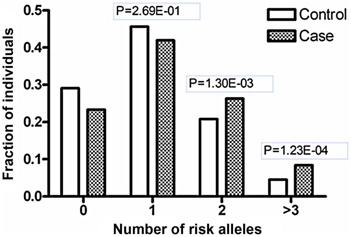 Joint effects of the risk-associated alleles of <i>ETS1</i> and <i>miR-146a</i>.