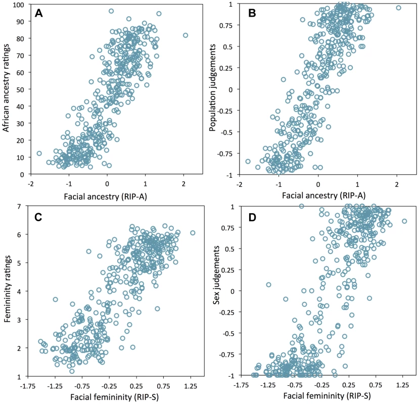 Relationships between human observer rating and judgments of facial ancestry and sex.