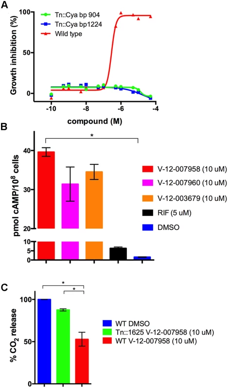Inhibition of cholesterol utilization by the orphan inhibitor V-12–007958 is dependent on cAMP levels.